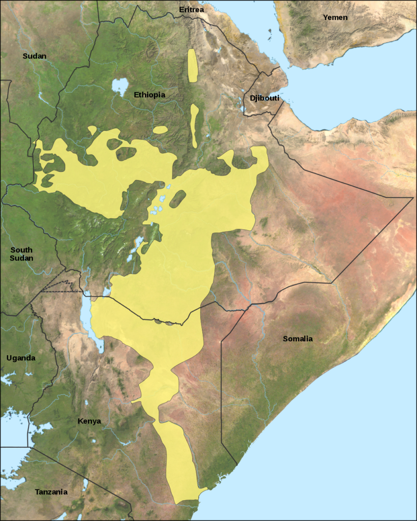 Mappa della presenza oromo in Africa orientale