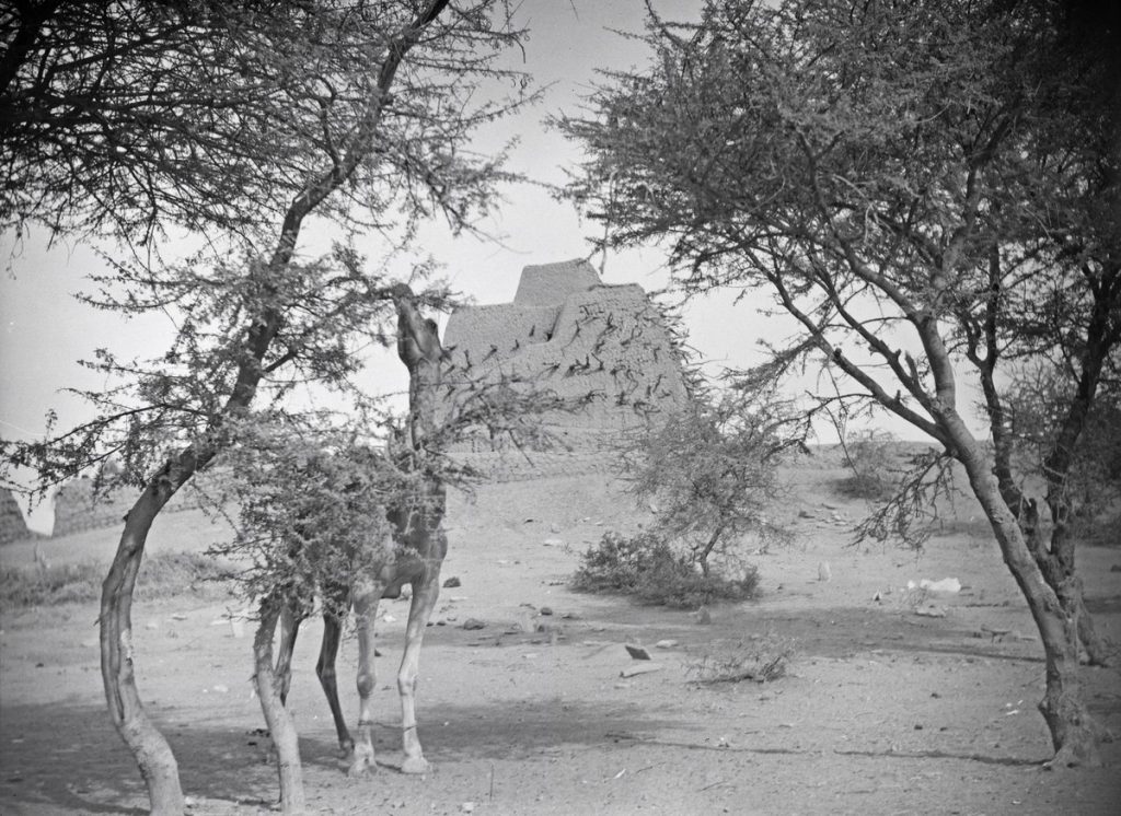 Una fotografia scattata a Gao negli anni '30, la struttura visibile è la tomba di Askia